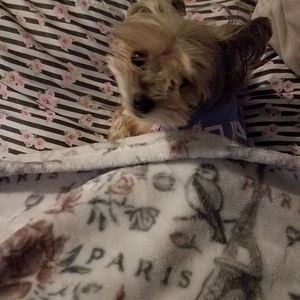 Meet your Posher, Frances